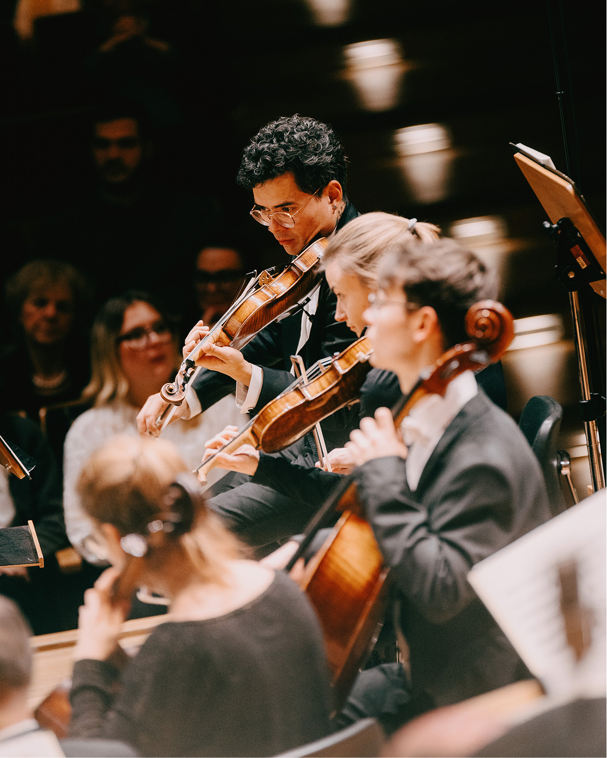 Bamberg, Bamberger Symphoniker nahaufnahme (C) Bamberger-Symphoniker, Foto-Marian-Lenhard 2026