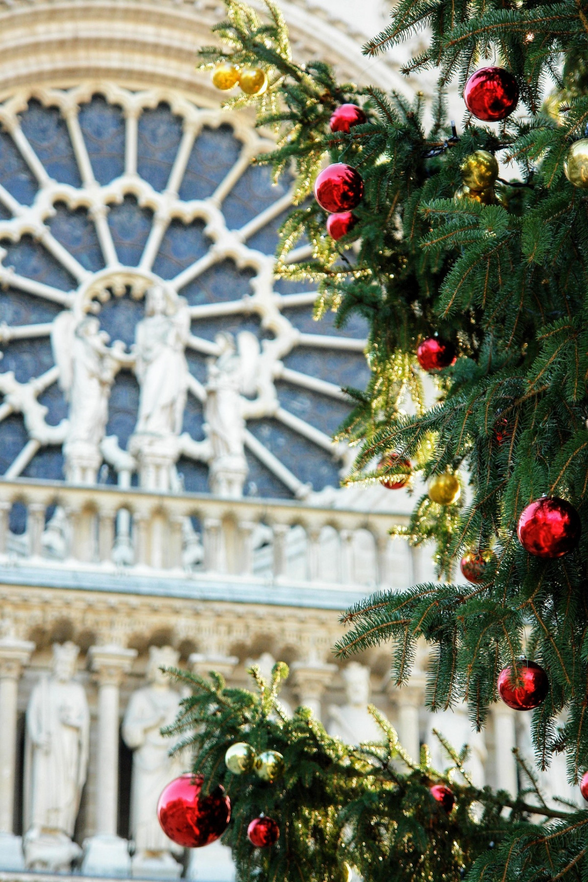Paris Weihnachtsbaum ©Pixabay